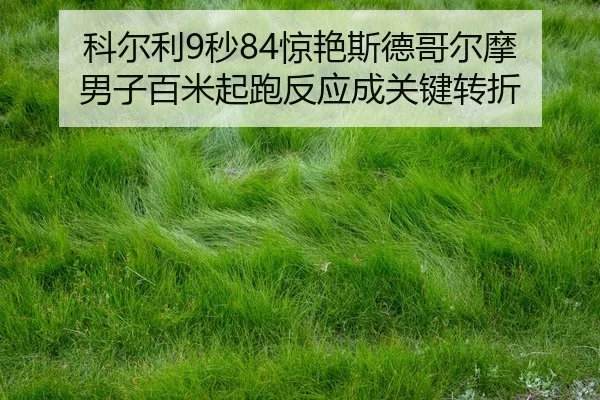 ke-er-li-miao-jing-yan-si-de-ge-er-mo-nan-zi-bai-mi-qi-pao-fan-ying-cheng-guan-jian-zhuan-zhe-2-961.jpg